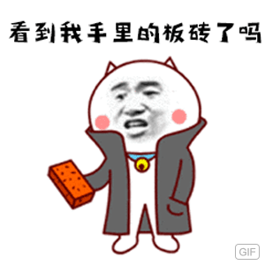 看到我手里的板砖了吗IGIF