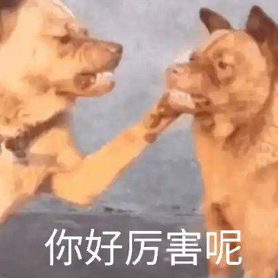 你好厉害呢