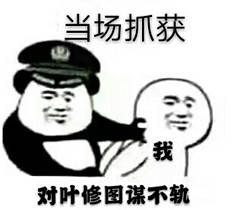 当场抓获，对叶修图谋不轨