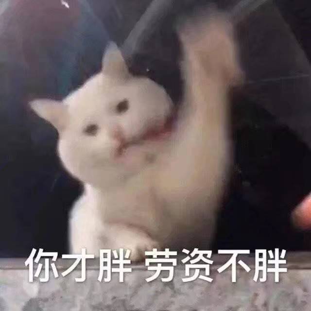 你才胖，劳资不胖