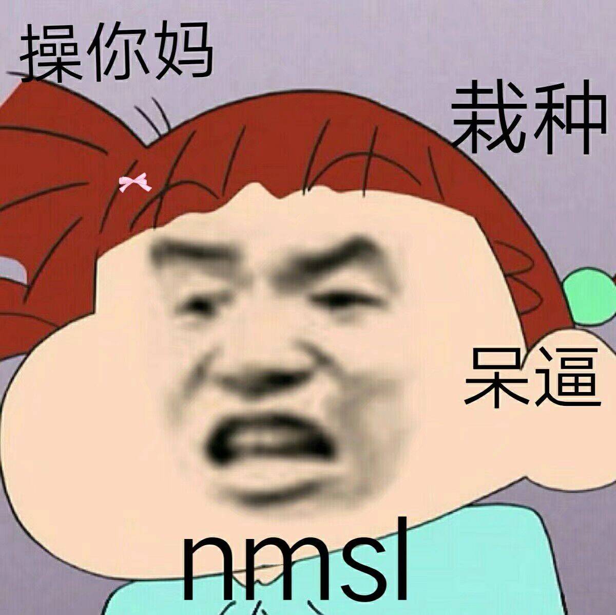 操你妈、栽种、呆逼、nmsl