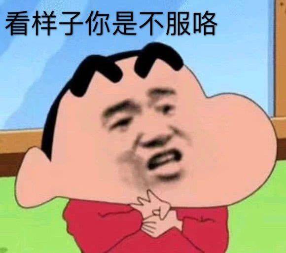 看样子你是不服咯