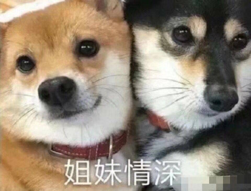 姐妹情深