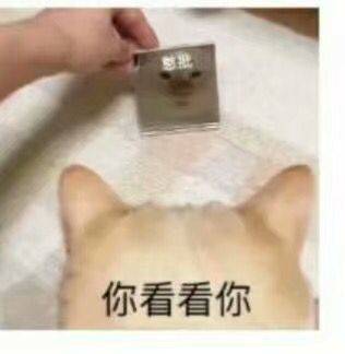 憨批，你看看你