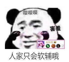 人家只会软辅哦，嘤嘤嘤