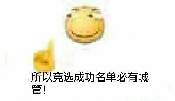 所以竞选成功名单必有城