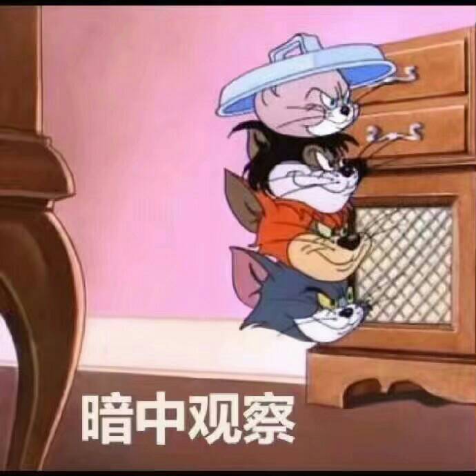 暗中观察