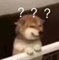 疑问中