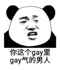 你这个gay里gay气的男人