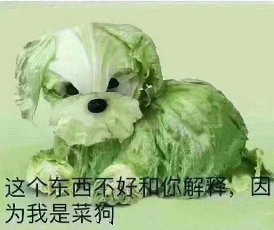 这个东西不好和你解释，因为我是菜狗