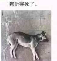 狗听完死了。