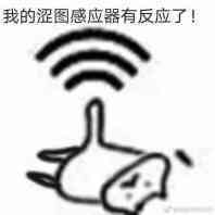 我的涩图感应器有反应了！