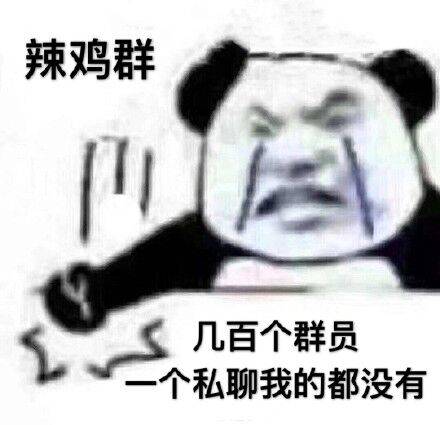 辣鸡群几百个群员，一个私聊我的都没有