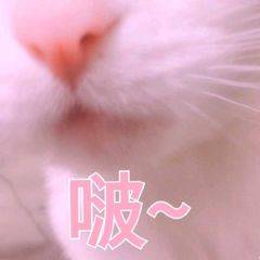 啵！