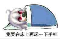 我要在床上再玩一下手机