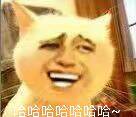 哈哈哈