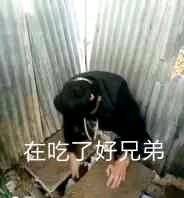 在吃了好兄弟