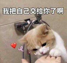 把自己交给你了啊