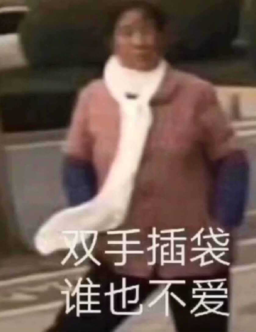 双手插袋，谁也不爱