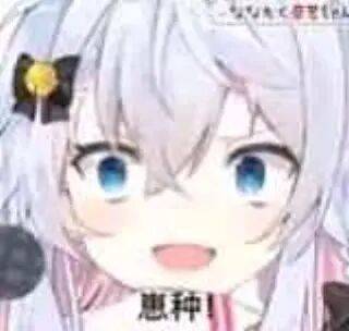崽种！