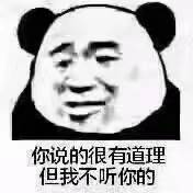 你说的很有道理但我不听你的