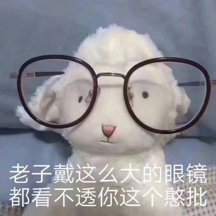 老子戴这么大的眼镜，都看不透你这个憨批