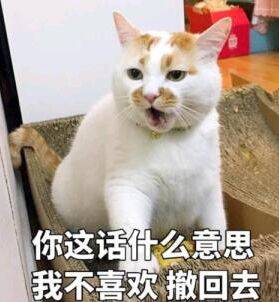 你这语什么意思，我不喜欢撒回去