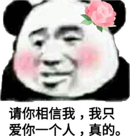 请你相信我，我只爱你一个人，真的。