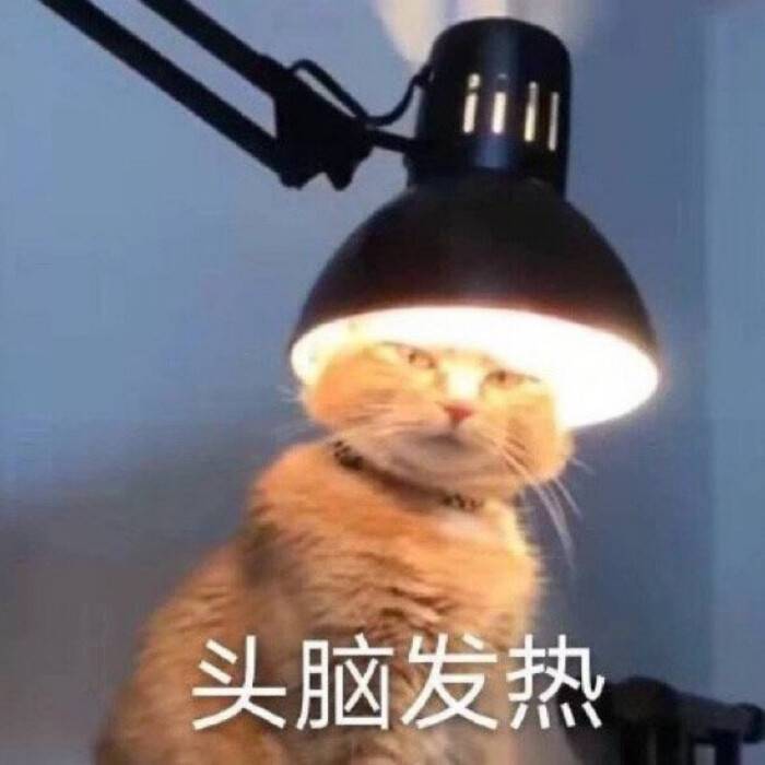 头脑发热