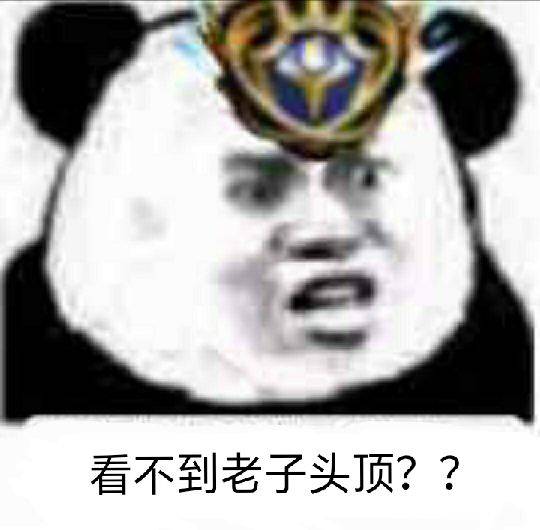 看不到老子头顶？？