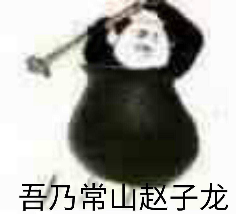 吾乃常山赵子龙