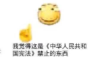 我觉得这是《中华人民共和国宪法》禁止的东西