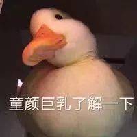 童颜巨乳了解一下