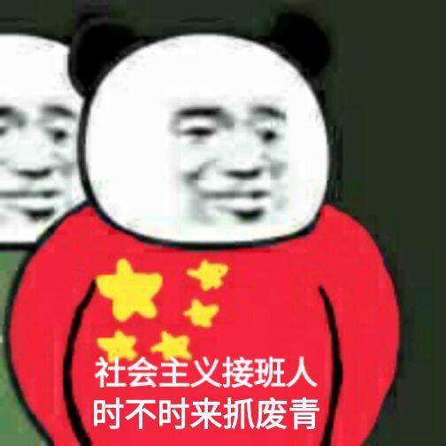 社会主义接班人，时不时来抓废青