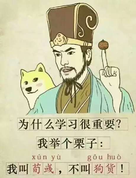 为什么学习很重要