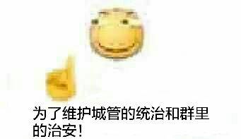 为了维护城管的统治和群里的治安！