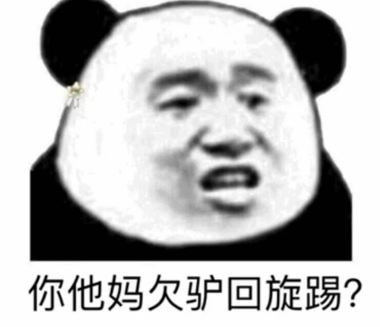 你他妈欠驴回旋踢？