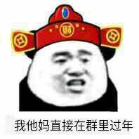 我他妈直接在群里过年