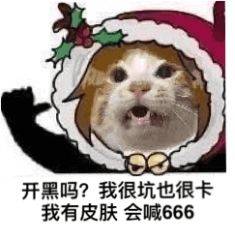 开黑吗？我很坑也很卡我有皮肤会喊666