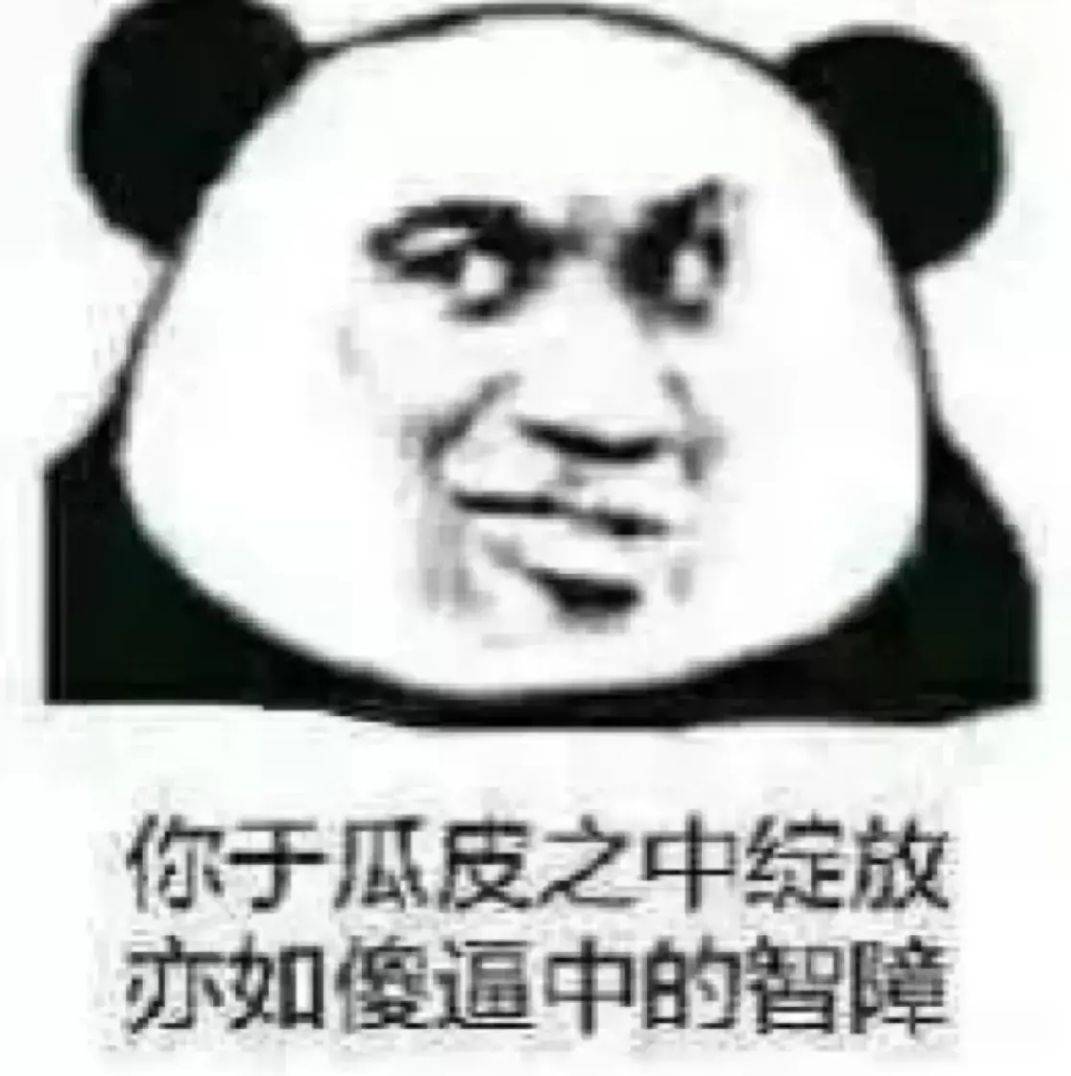 你于瓜皮之中绽放亦如傻逼中的智障