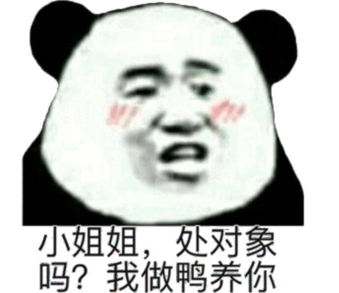 小姐姐，处对象吗？我做鸭养你