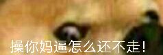 操你妈逼，怎么还不走！