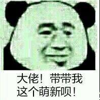 大佬！带带我这个萌新呗！