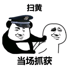 扫黄当场抓获