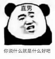 直男你说什么就是什么好吧