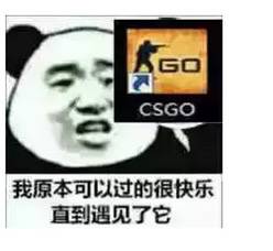 我原本可以过的很快乐直到遇见了它