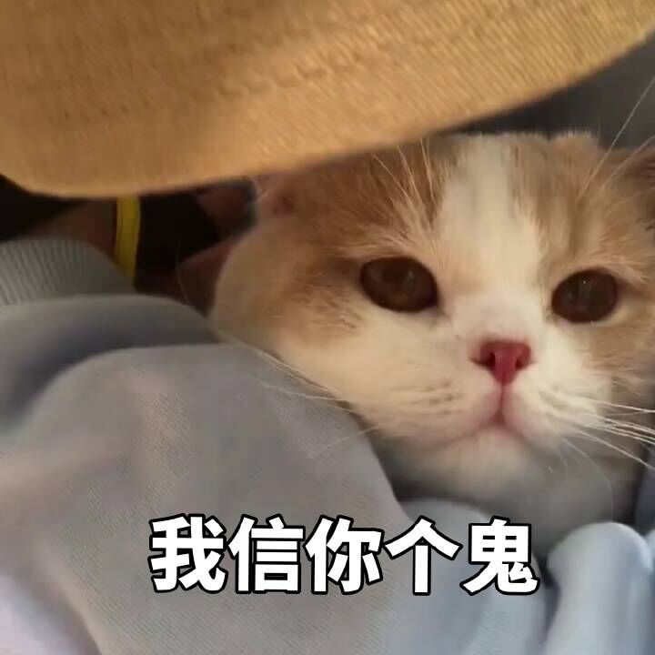 我信你个鬼