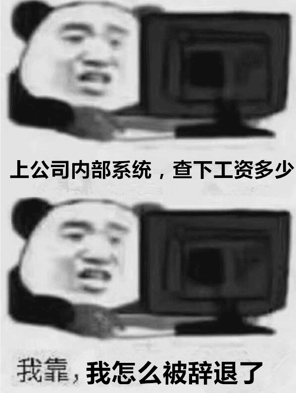 上公司内部系统，查下工资多少，我靠，我怎么被辞退了