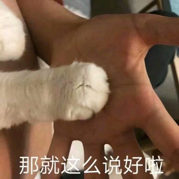 那就么说好啦