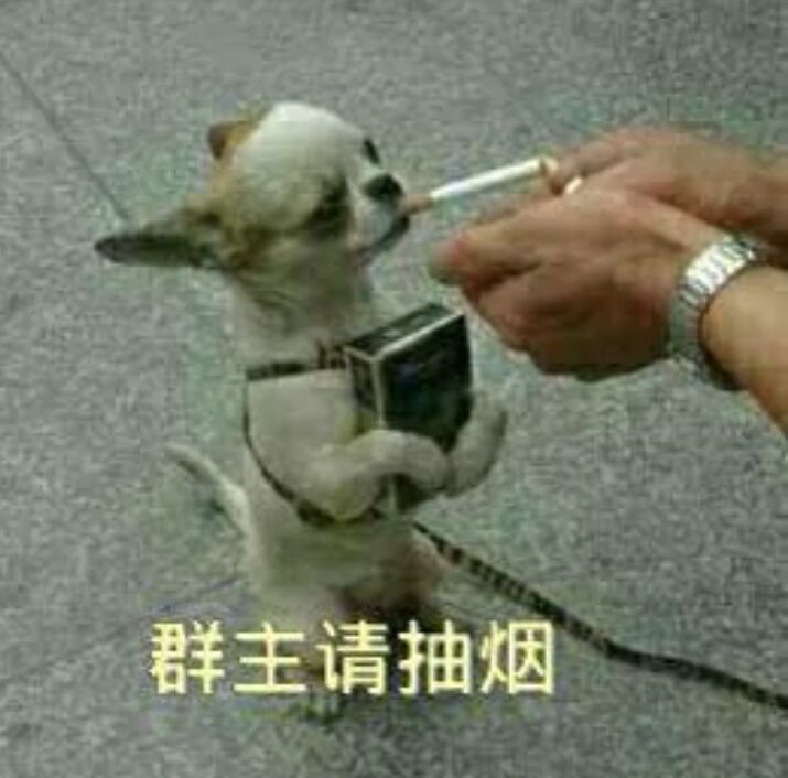 群主请抽烟